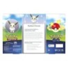 Pokemon GO Premium Collection Radiant Eevee POKEMON TCG